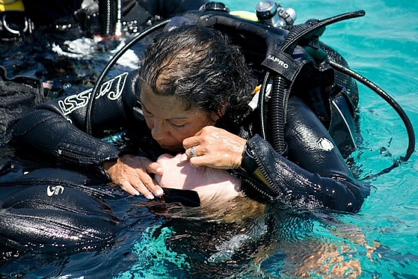 Расти до Rescue Diver: Учиться, учиться и… учиться!