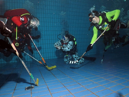 Подводный хоккей, апрель 2015