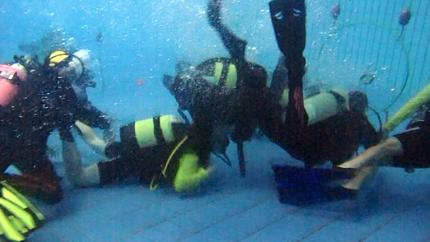 Подводное регби, ноябрь 2015