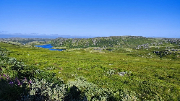 Поездка на Баренцево море. Август 2024 Дальние Зеленцы