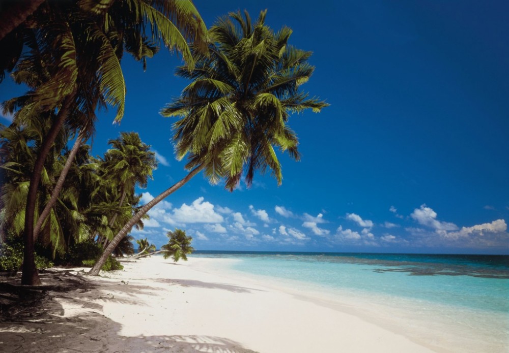 8_240_maldives_hd_enl.jpg 8_240_maldives_hd_enl.jpg