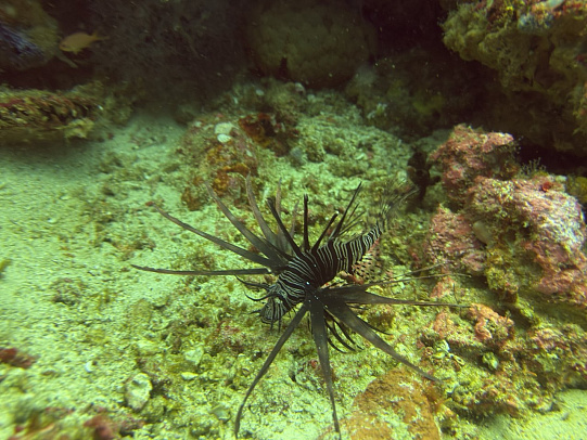 Филиппины. Март 2026