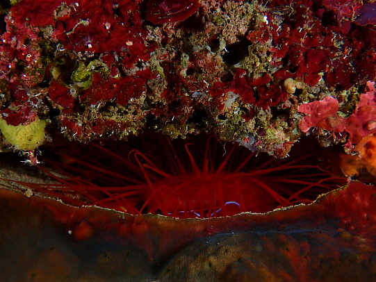 Филиппины. Октябрь 2025