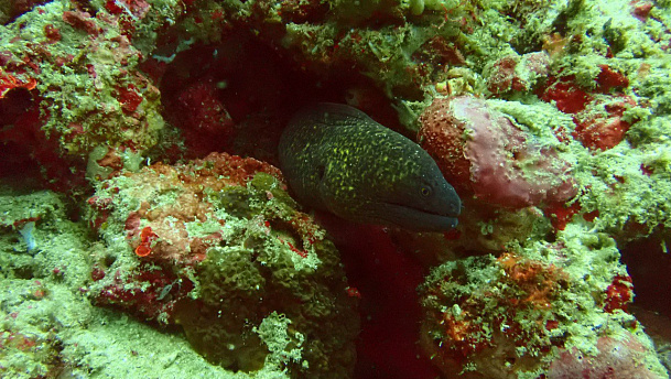 Филиппины. Март 2026