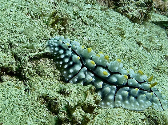 Филиппины. Март 2026