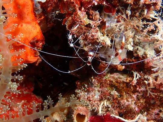 Филиппины. Октябрь 2025