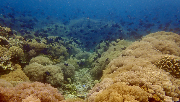 Филиппины. Март 2026