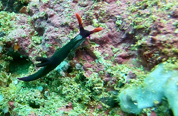 Филиппины. Март 2026