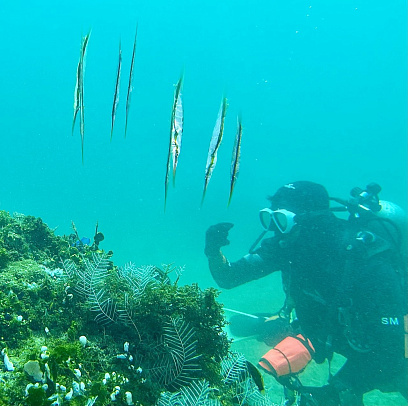 Филиппины. Март 2026