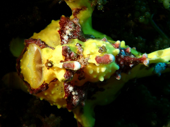 Филиппины. Октябрь 2025