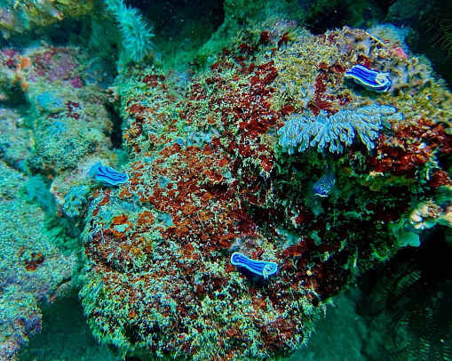 Филиппины. Март 2026