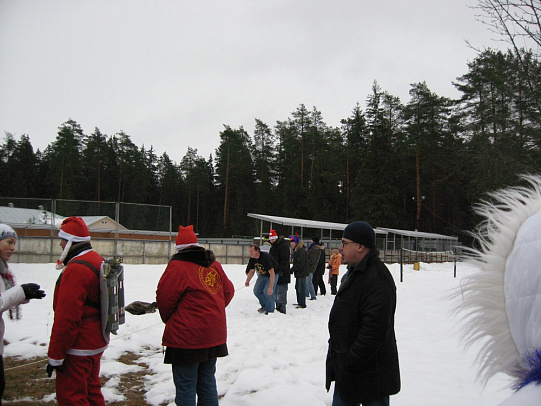 Новый год - 2008г