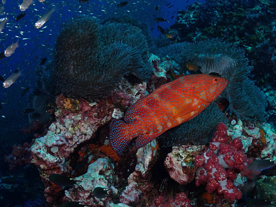 Тайланд. Февраль 2026