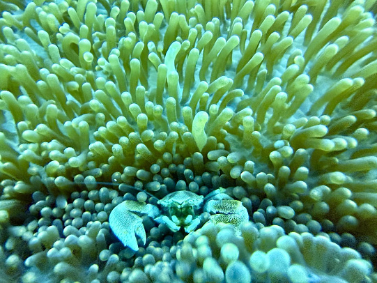 Филиппины. Март 2026