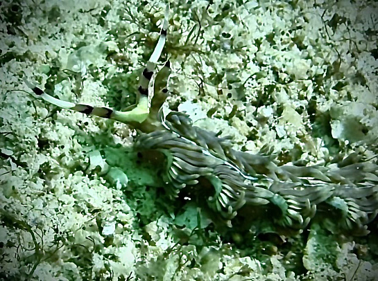 Филиппины. Март 2026