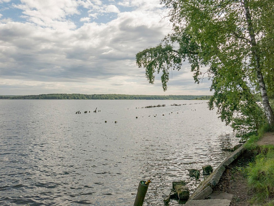  День очистки водоёмов. Июнь 2016 озеро Сенеж