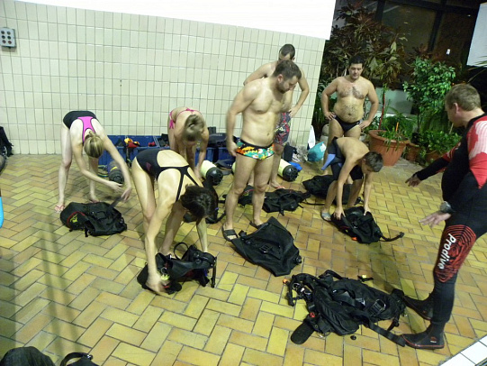 Курс Open Water Diver. Ноября 2015 