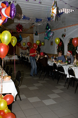 Новый год - 2008г