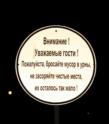 Новый год - 2009 г