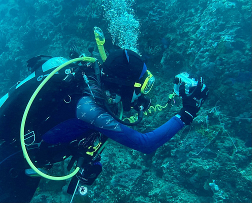 Филиппины. Март 2026