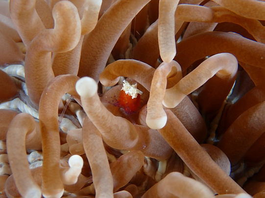 Филиппины. Октябрь 2025