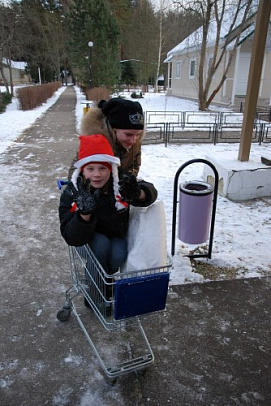 Новый год - 2009 г