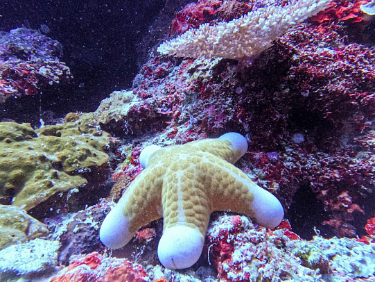 Филиппины. Октябрь 2025