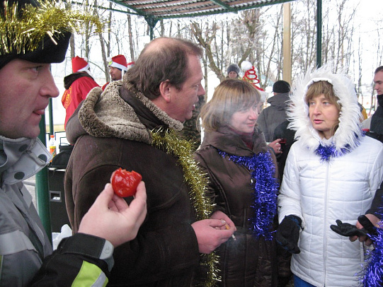 Новый год - 2008г