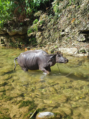 Филиппины. Март 2026