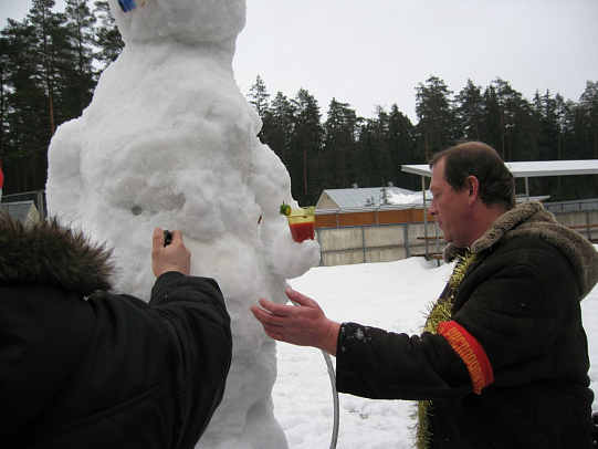 Новый год - 2008г