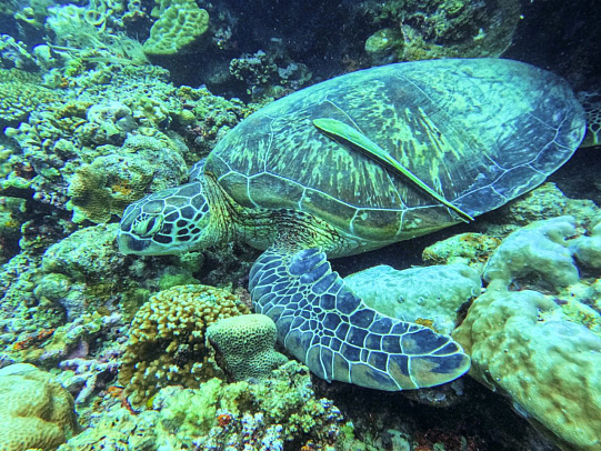 Филиппины. Октябрь 2025