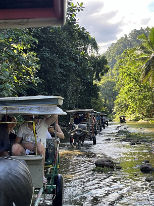 Филиппины. Март 2026