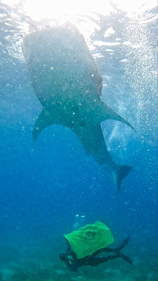 Филиппины. Октябрь 2025