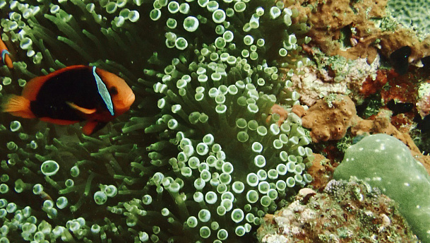 Филиппины. Март 2026