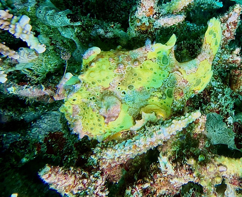 Филиппины. Март 2026