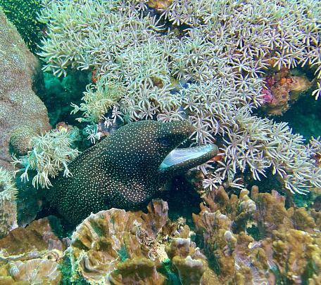 Филиппины. Март 2026