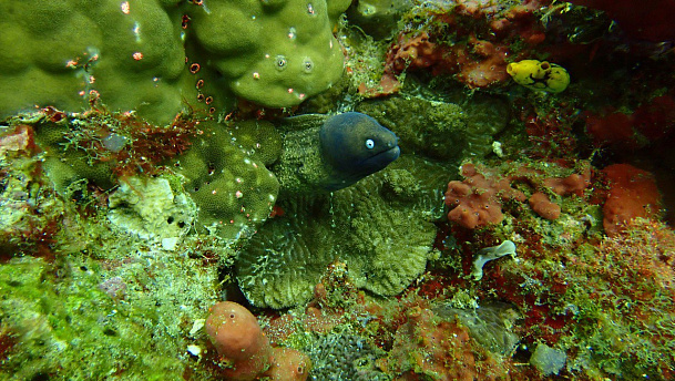 Филиппины. Март 2026