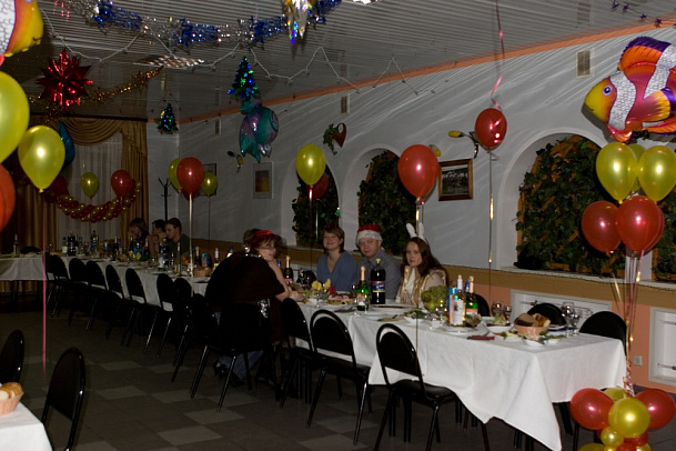 Новый год - 2008г