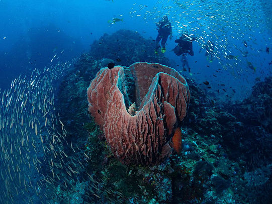 Тайланд. Февраль 2026