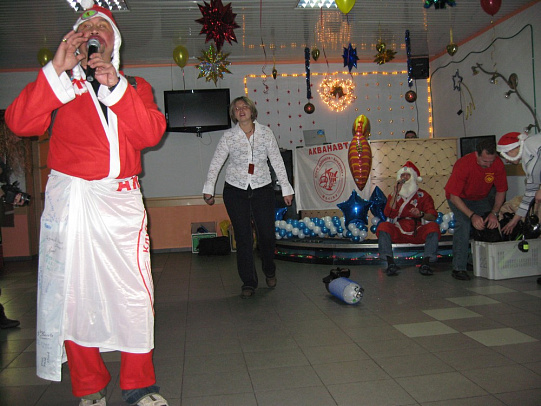 Новый год - 2008г