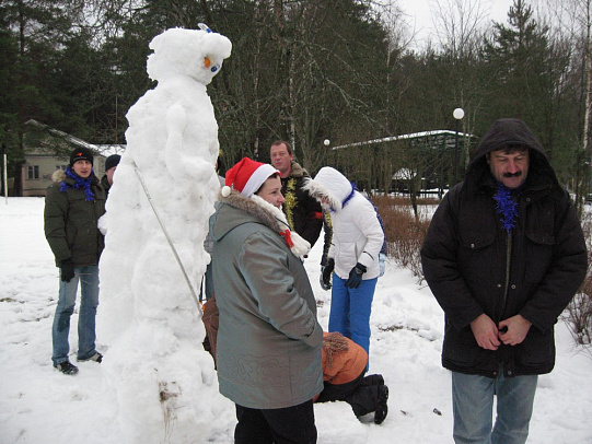 Новый год - 2008г