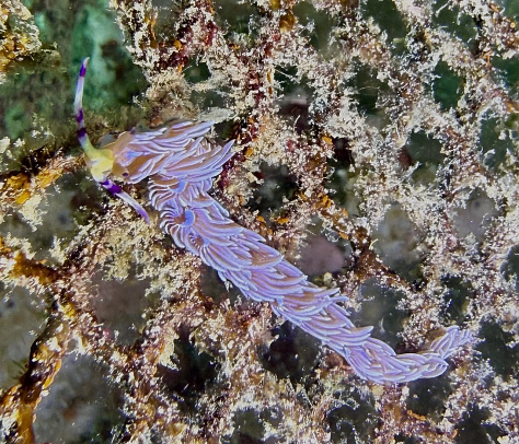 Филиппины. Март 2026