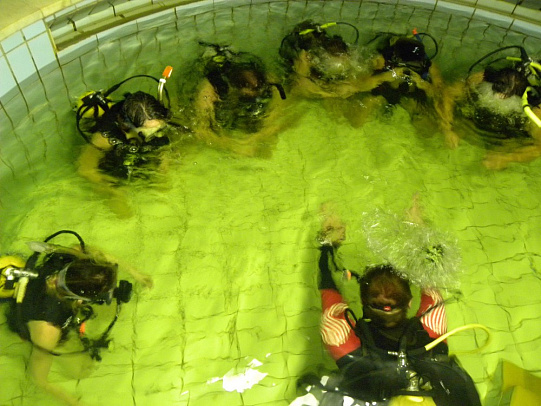 Курс Open Water Diver. Ноября 2015 