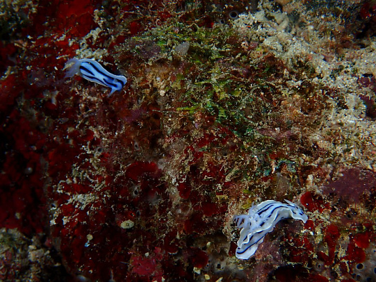 Филиппины. Октябрь 2025