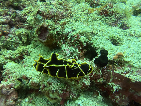 Филиппины. Март 2026