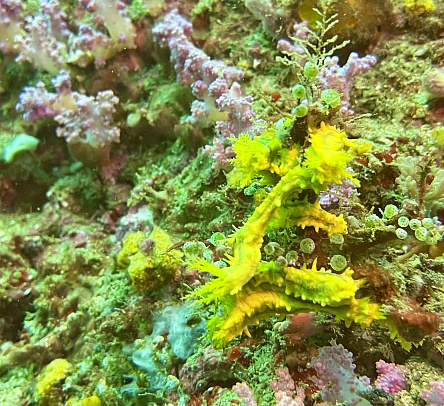 Филиппины. Март 2026