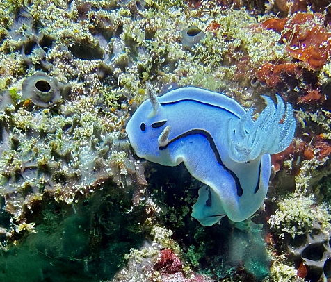 Филиппины. Март 2026