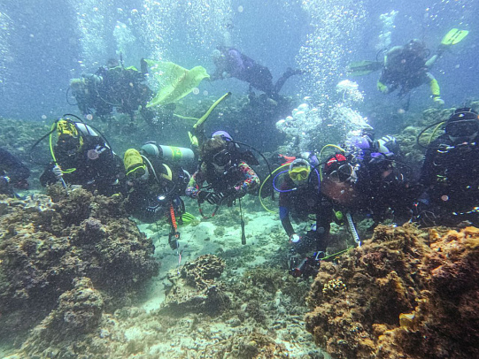 Филиппины. Октябрь 2025