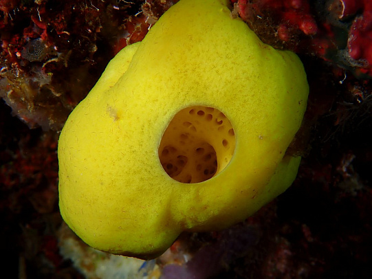 Филиппины. Октябрь 2025