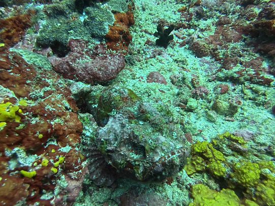 Филиппины. Март 2026